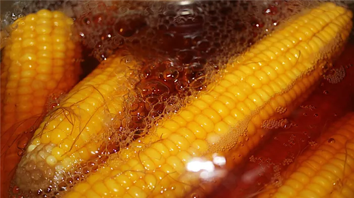 Как правильно варить кукурузу в початках