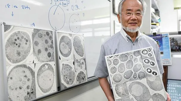 Биолог Ёсинори Осуми, получивший Нобелевскую премию за открытие механизмов аутофагии.