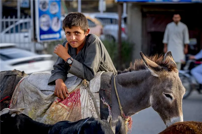 Мальчик из Кабула