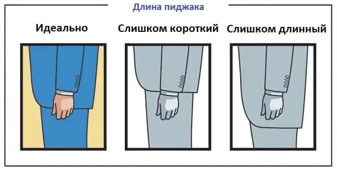 Длина мужского пиджака 