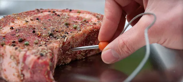 Как выбрать и пользоваться термометром для мяса. Термометр для мяса как пользоваться? 5