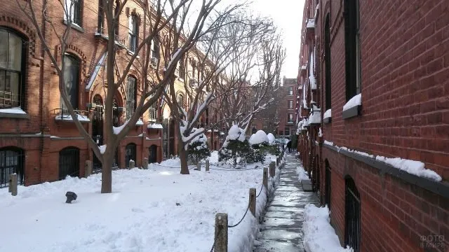 Заснеженный переулок между домами в Бруклине