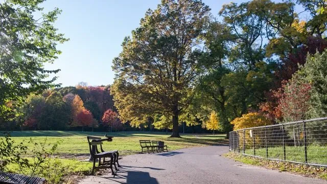 Живописная аллея в Бруклинском парке