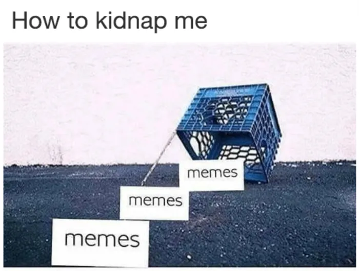 мем как меня похитить (1)