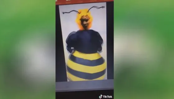 RASA - Пчеловод. Кто поет песню ты пчела я пчеловод? 3