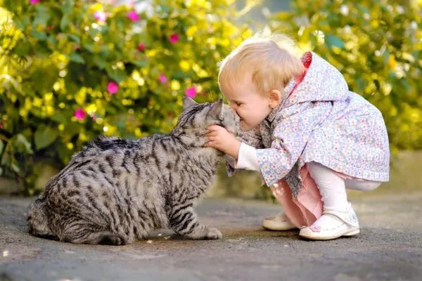 ребёнок целует кота