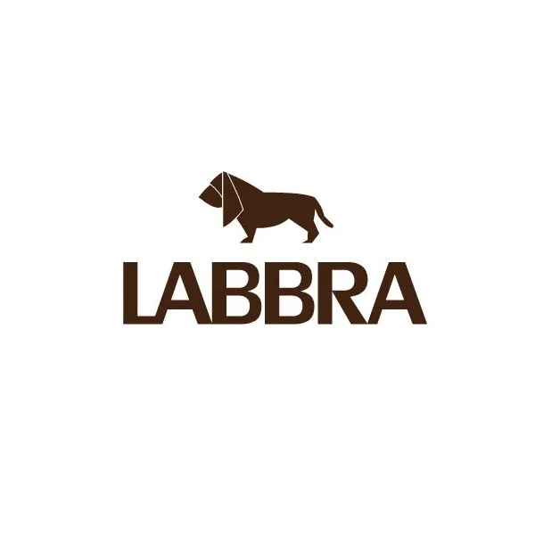 Логотип Labbra