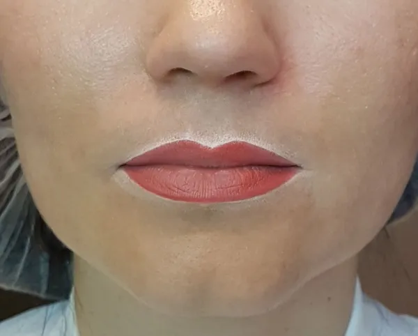 Перманентный макияж губ с растушевкой. Фото до и после процедуры, цена