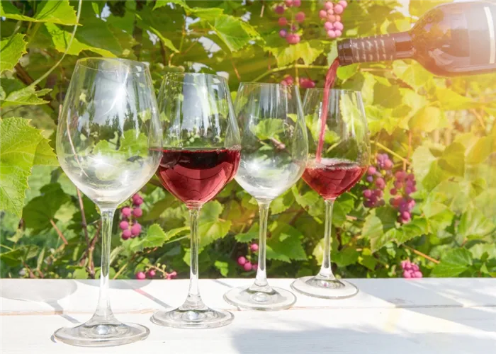 Отличие бокалов для белого и красного вина