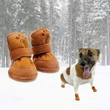 Выбираем обувь и носочки для собаки. В какой обуви гулять с собакой. 3