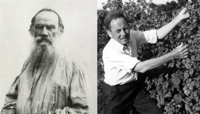 Чем отличаются веганство и вегетарианство? Лев Толстой и Дональд Уотсон — важные лица в культуре веганов. Фото.