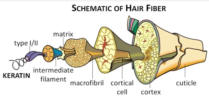 кератин в волосах схема
