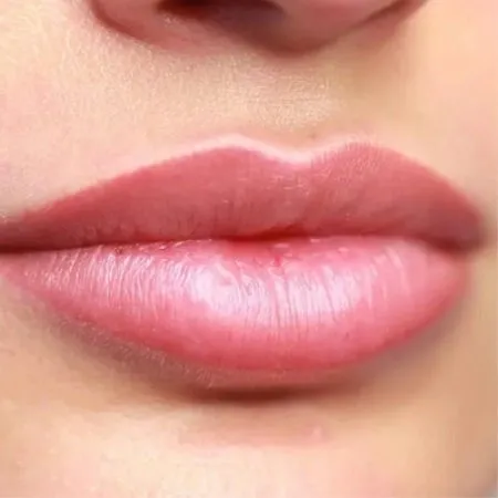 Татуаж губ: преимущества, недостатки, виды. Перманентный макияж губ что это. 18