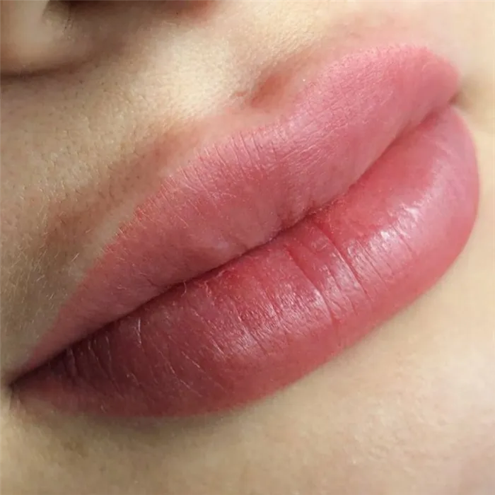 Татуаж губ: преимущества, недостатки, виды. Перманентный макияж губ что это. 36