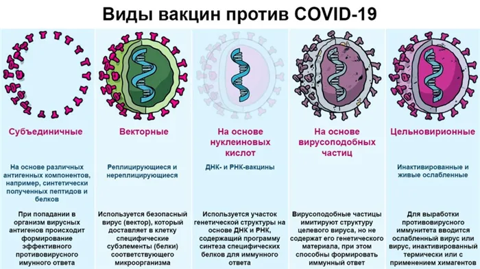 COVID-19: вакцины и противопоказания. Какие вакцины сейчас делают от ковида. 4