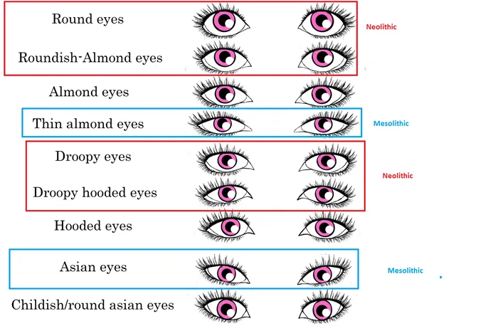 Физиогномика: глаза. характер по глазам - junona.pr