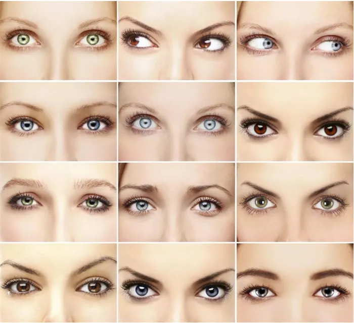 Форма глаз человека: как определить и изменить - 