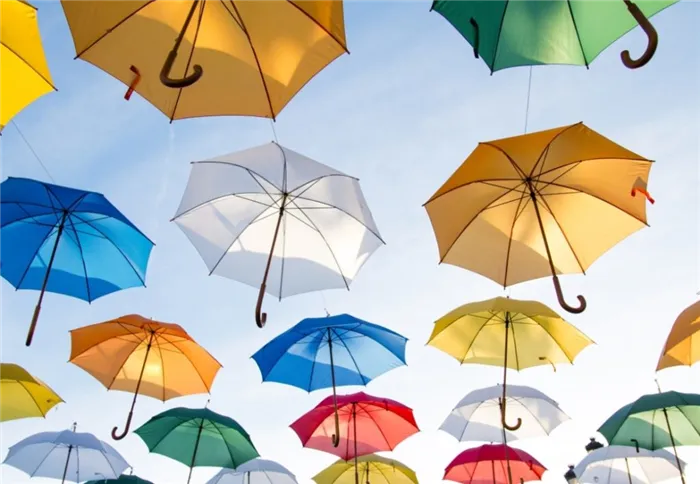 18 лучших производителей зонтов. Какие зонты самые прочные и надежные. 19