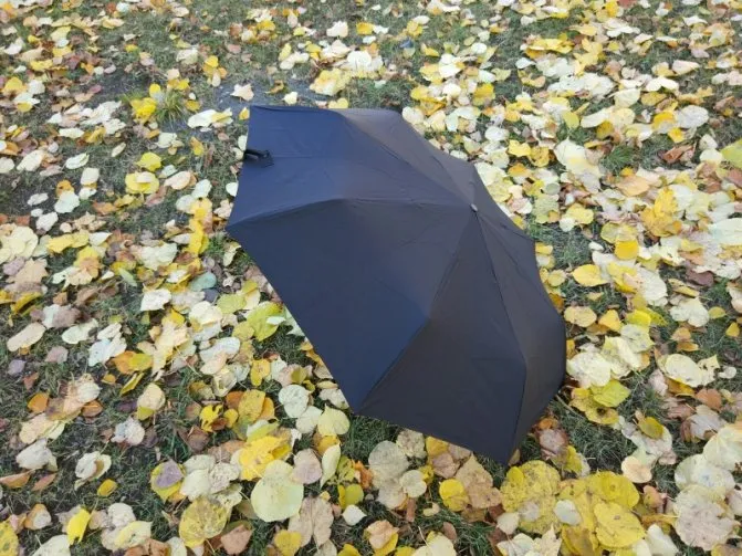 18 лучших производителей зонтов. Какие зонты самые прочные и надежные. 14