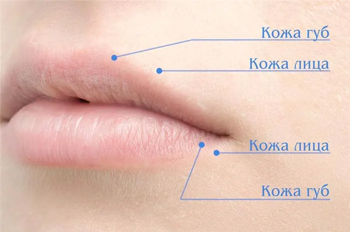 Перманентный макияж губ, контур и татуаж с растушевкой – как сделать более четким натуральный. Как сделать контур губ. 5