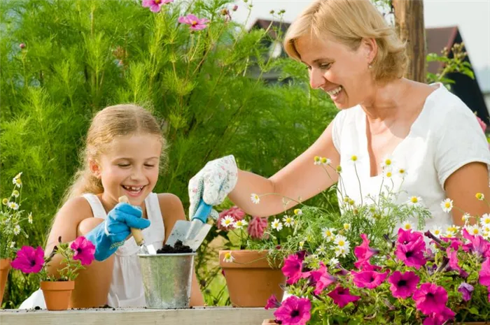 Уход за комнатными растениями в домашних условиях: пошаговая инструкция для начинающих, полив, подкормка, пересадка цветка горшок