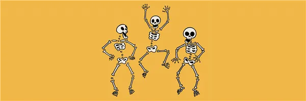 Сколько костей в теле человека взрослого. Сколько костей в составе взрослого человека. 2