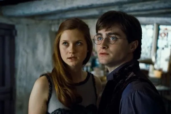 Гарри Поттер и его жена Джинни