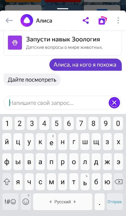 Новые возможности Алисы от «Яндекса»: распознавание предметов, QR-кода и текста на фотографии. Алиса покажи как ты выглядишь. 6
