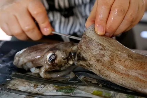 Как быстро и легко очистить кальмара от пленок / И с чем приготовить морепродукт