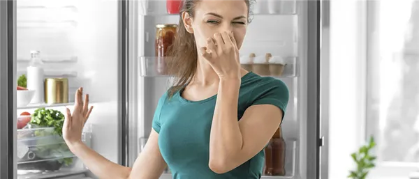 10 ТОП способов как избавиться от неприятного запаха в холодильнике. Как убрать запах из холодильника быстро. 2
