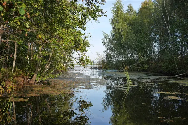Озеро «Тростенское»