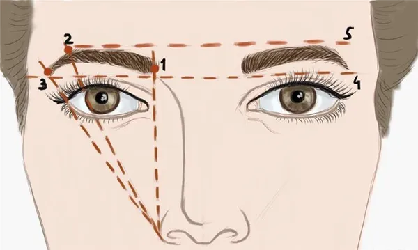 Как брови меняют лицо: подбор бровей под форму лица, удачные примеры с фото как понять какая форма бровей тебе подходит