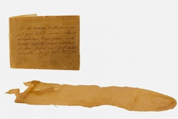 Презерватив из кишок животных, используемый в 17 веке