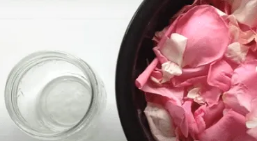 Как сделать розовое масло в домашних условиях. Как сделать масло розы своими руками. 2