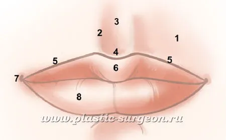 Как подтянуть щеки: только доказано эффективные методы. Как вернуть пухлые щеки. 2