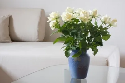 7 способов оживить розы, которые начали вянуть в вазе