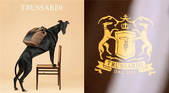 История бренда Trussardi. Trussardi что за бренд 20