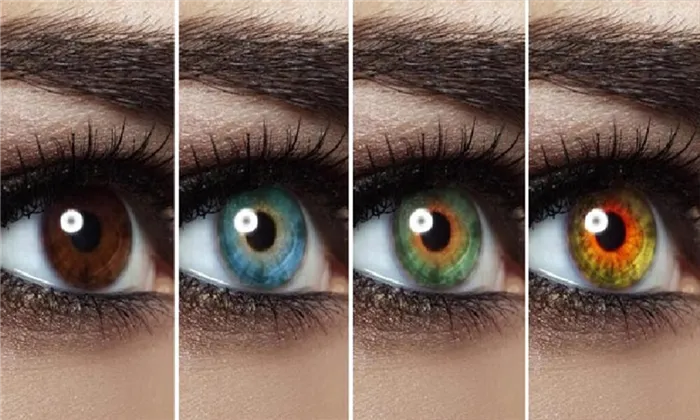 Какие бывают разновидности цвета глаз у людей и от чего он зависит. Какие бывают глаза цветом 9