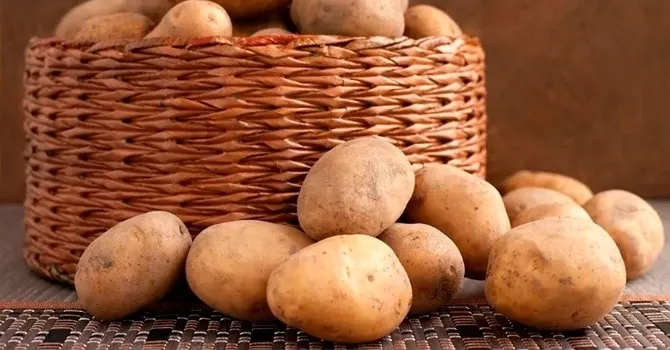 Как хранить картофель дома – оптимальные условия выбор емкостей для хранения. Где хранить картошку в квартире 18