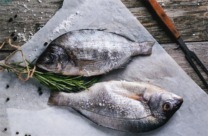 Советы и рекомендации, как правильно хранить соленую рыбу в домашних условиях. Сколько хранится соленая рыба в холодильнике 20