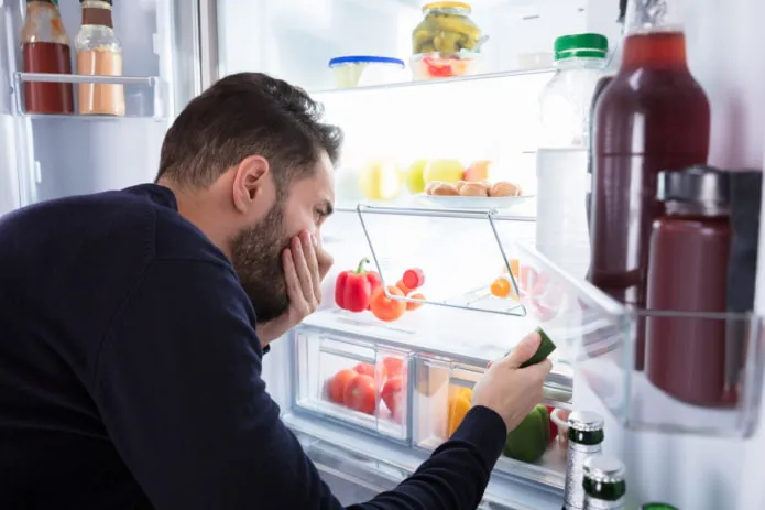 12 способов, как избавиться от запаха в холодильнике. Как избавиться от запаха в холодильнике 46
