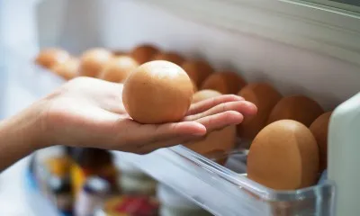 Вопрос свежести: сколько дней вареные яйца хранятся в холодильнике. Сколько хранятся вареные яйца в холодильнике 25