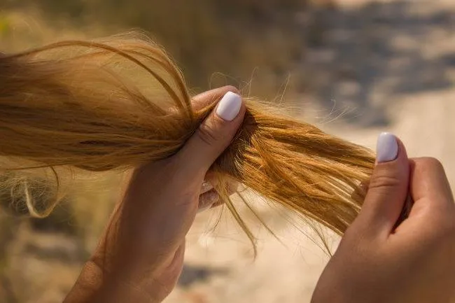 Как вылечить сухие и ломкие волосы. Как укрепить ломкие волосы 40
