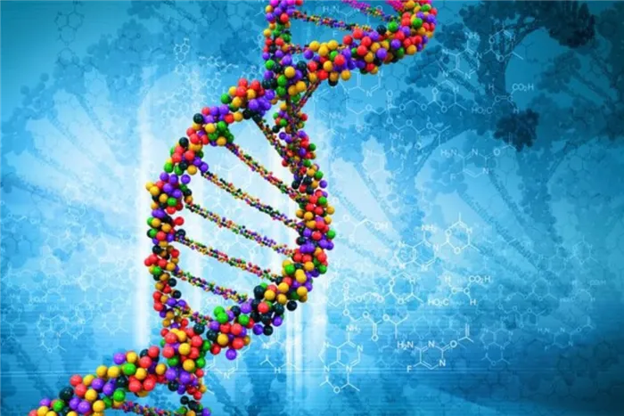 Как определить национальность по ДНК-тесту. Как узнать свой генетический код 7