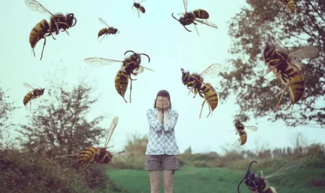 Укус пчелы. Что делать когда кусает пчела? 15