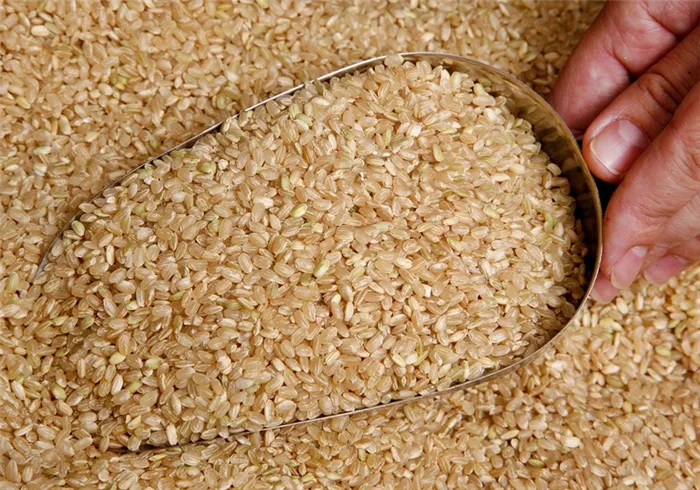 Польза и вред бурого риса во время похудения. Рис для похудения как готовить. 18