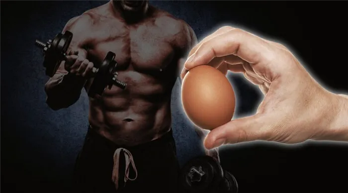 Сколько можно съедать яиц в день. Сколько яиц можно съесть в день. 36