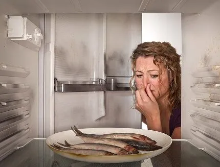 Быстро удалить неприятный запах из холодильника: 36 способов от наших читателей. Как убрать запах из холодильника. 39